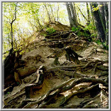 Happy Hollow Park in W. Lafayette, Indiana, April 30, 1999.