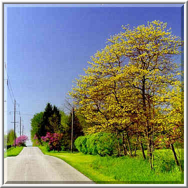 State Road 500, 5 miles west from W. Lafayette. Indiana, May 1, 1999.