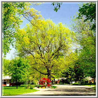 Intersection of Summit Dr. and Garden St. West Lafayette, Indiana, May 2, 1999.