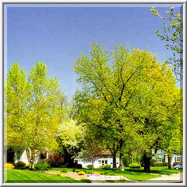 Intersection of Hillcrest Rd. and Marilyn Ave. West Lafayette, Indiana, May 2, 1999.