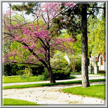 A house at 1528 Northwestern Ave. West Lafayette, Indiana, May 3, 1999.