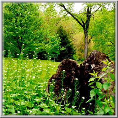 Happy Hollow Park. West Lafayette, Indiana, May 5, 1999.