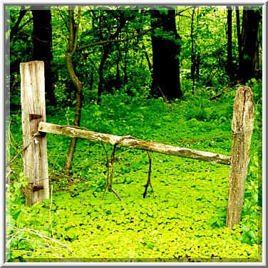 Unidentified construction in Celery Bog Park. West Lafayette, Indiana, May 9, 1999.