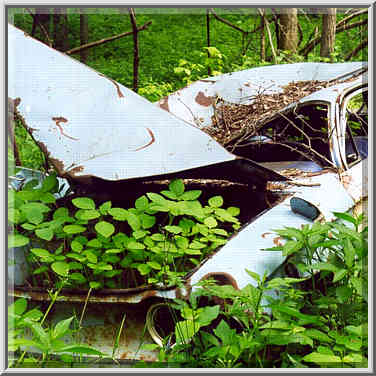 A flowerbed in a used car at Heritage Trail in ...[2 words]... Battle Ground. Indiana, May 16, 1999.