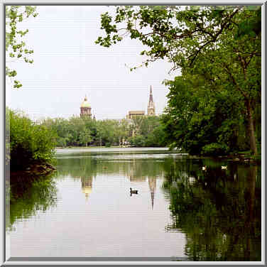 Ducks in St. Marys Lake reflecting Golden Dome ...[12 words]... South Bend, Indiana, May 21, 1999.