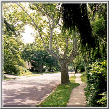 Robinson St. in West Lafayette IN, 5 July, 1999.