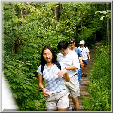 Nature trail over a marsh on Lake Michigan in Indiana, July 17, 1999.