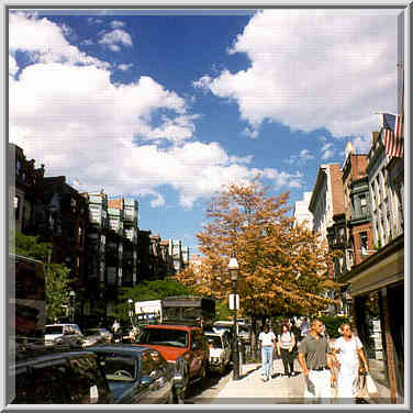 A dry tree at Boylston(?) St. at Back Bay in Boston, August 2, 1999.