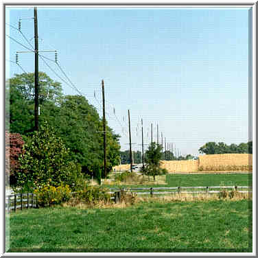 A pasture and a corn field along C. Rd. 500 W. ...[2 words]... Lafayette, Indiana, September 25, 1999.