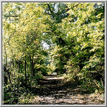 A trail in Ross Hills Park, 6 miles west from Lafayette, Indiana, September 25, 1999.