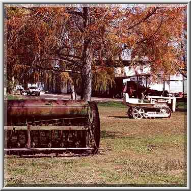 Kibbutz Dafna (?) in northern Israel. February 19, 2000