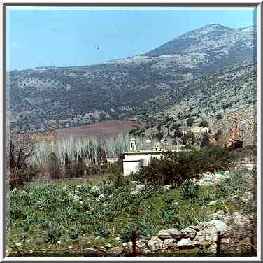 Banias (?) in northern Israel. February 19, 2000