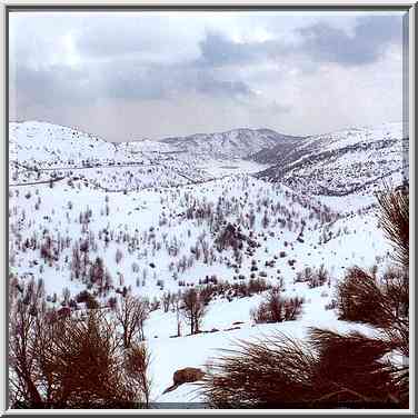 A road through Hermon Reserve. Golan Heights, the Middle East, February 19, 2000