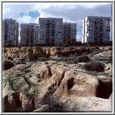 Geological Botanical Park. Beer-Sheva, February 25, 2000