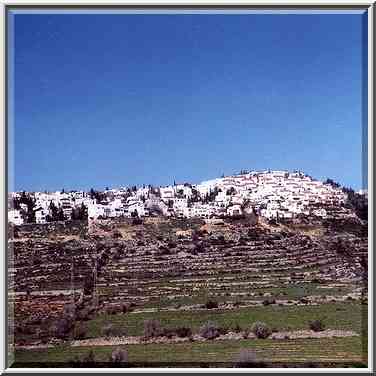 Judean Hills west from Jerusalem. The Middle East, February 26, 2000