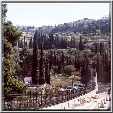 Jericho St. in Jerusalem. The Middle East, February 26, 2000