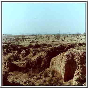 View from a road to Tel Sheva, north from Beer-Sheva. The Middle East, March 4, 2000