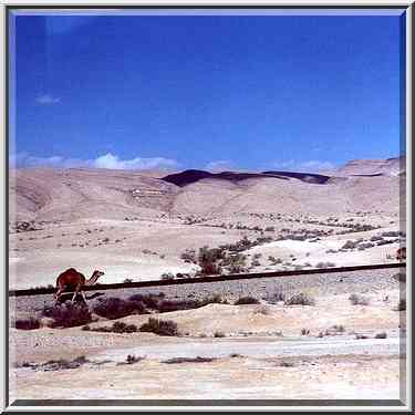 Negev Desert south from Dimona. The Middle East, March 11, 2000