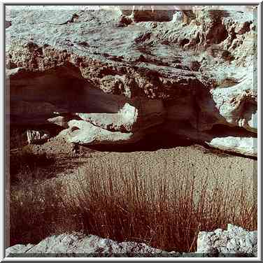 Dry riverbed in Negev Desert south from Dimona. The Middle East, March 11, 2000