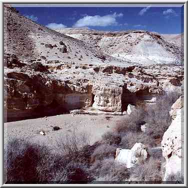 Dry river in Negev Desert south from Dimona. The Middle East, March 11, 2000