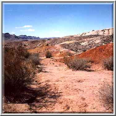 Dry creek in Big Crater (Makhtesh Gadol) in Negev Desert. The Middle East, March 11, 2000