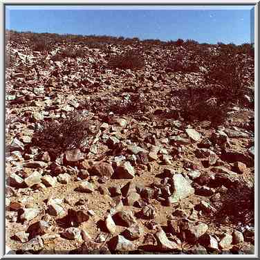 Negev Desert on hills opposite to Golda Meir Park. The Middle East, March 11, 2000