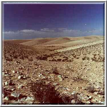 Negev Desert on hills opposite to Golda Meir Park. The Middle East, March 11, 2000