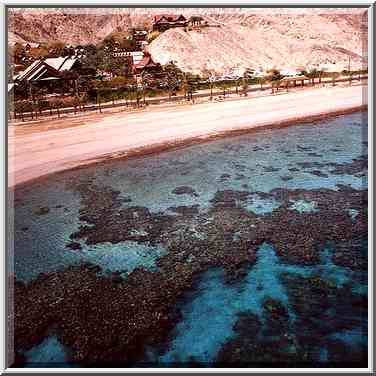 Coral reef south from Eilat, the Middle East, March 18, 2000