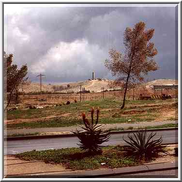 Negev Desert after a rain behind Ben Gurion ...[5 words]... the horizon. Beer-Sheva. March 23, 2000