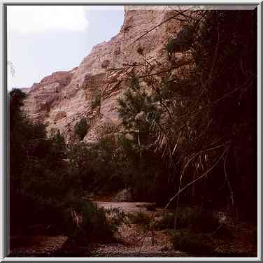 Ein Bokek Creek near the spring. The Middle East, March 25, 2000