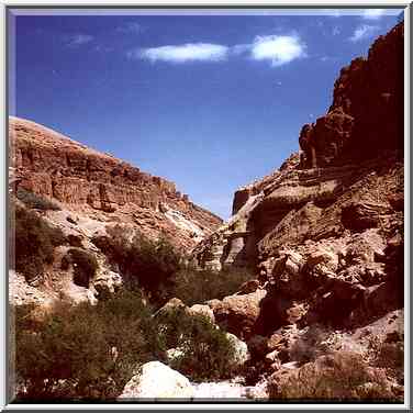 Canyon of Ein Bokek Creek. The Middle East, March 25, 2000