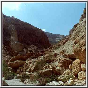 Canyon of Ein Bokek Creek. The Middle East, March 25, 2000