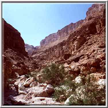 Canyon of Ein Bokek Creek above the spring. The Middle East, March 25, 2000