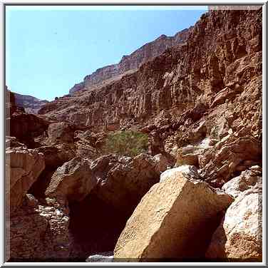 Canyon of Ein Bokek Creek above the spring. The Middle East, March 25, 2000