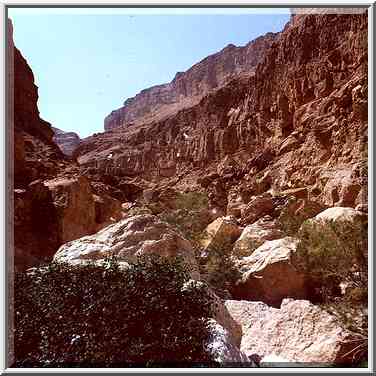 Canyon of Ein Bokek Creek above the spring. The Middle East, March 25, 2000