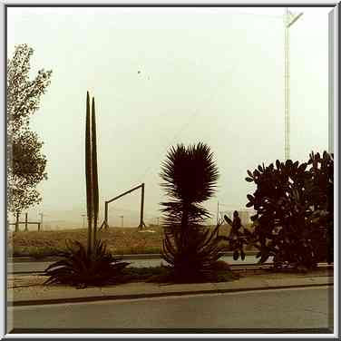 Ben Gurion Boulevard, after a dust storm. Beer-Sheva, the Middle East, April 17, 2000