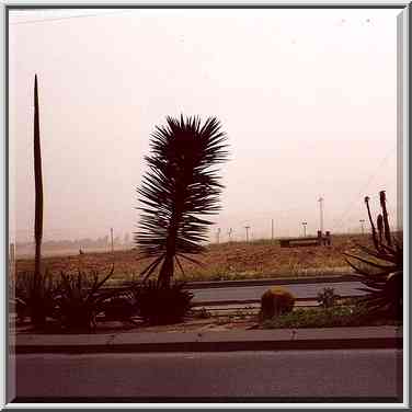 Ben Gurion Boulevard, after a dust storm. Beer-Sheva, the Middle East, April 17, 2000