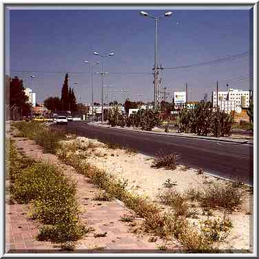 Weeds on Ben Gurion Boulevard at spring. Beer-Sheva, the Middle East, April 25, 2000