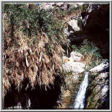 Shulamit Fall and a cave on David Creek in Ein Gedi. The Middle East, April 26, 2000