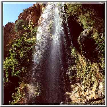 Shulamit Fall on David Creek in Ein Gedi. The Middle East, April 26, 2000