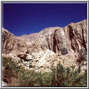 View of David Creek canyon from a trail to ...[4 words]... Gedi. The Middle East, April 26, 2000