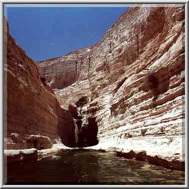 A pool in Ein Avdat canyon in Negev Desert. The Middle East, May 10, 2000