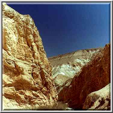 Canyon of Horim Creek near Sede Boqer in Negev Desert. The Middle East, May 10, 2000