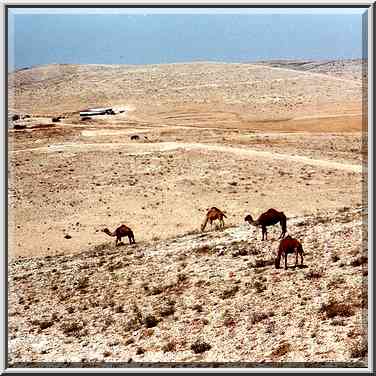 Near Bedouin villages 2 miles north-east from ...[2 words]... the Middle East, May 12, 2000