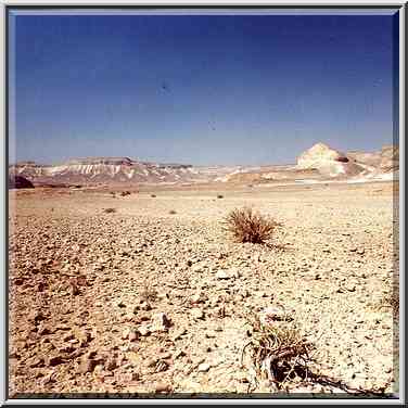 Judean Desert on the plateau, near Ein Bokek. The Middle East, May 20, 2000