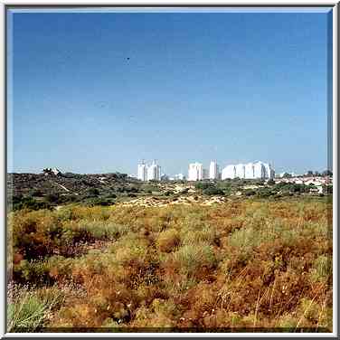 View of Ashkelon from sandy dunes of north-west area. The Middle East, June 2, 2000