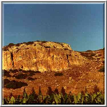 View of cliffs and bananas from a railroad south from Haifa. The Middle East, July 14, 2000