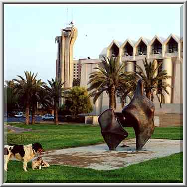 Stray dogs in front of the City Hall. Beer-Sheva, the Middle East, August 17, 2000