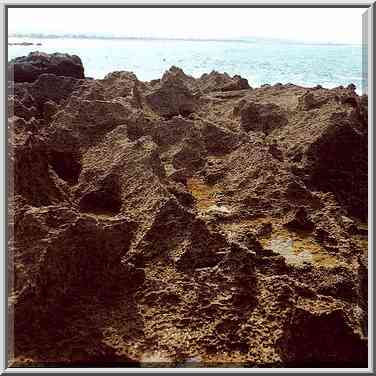 Eroded limestone on a beach near Habonim. The Middle East, August 24, 2000