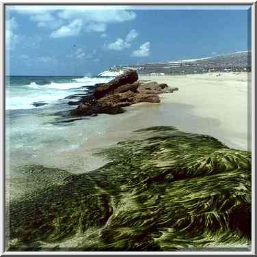 A beach north from Akhziv. Rosh Hanikra is on the horizon. The Middle East, September 7, 2000